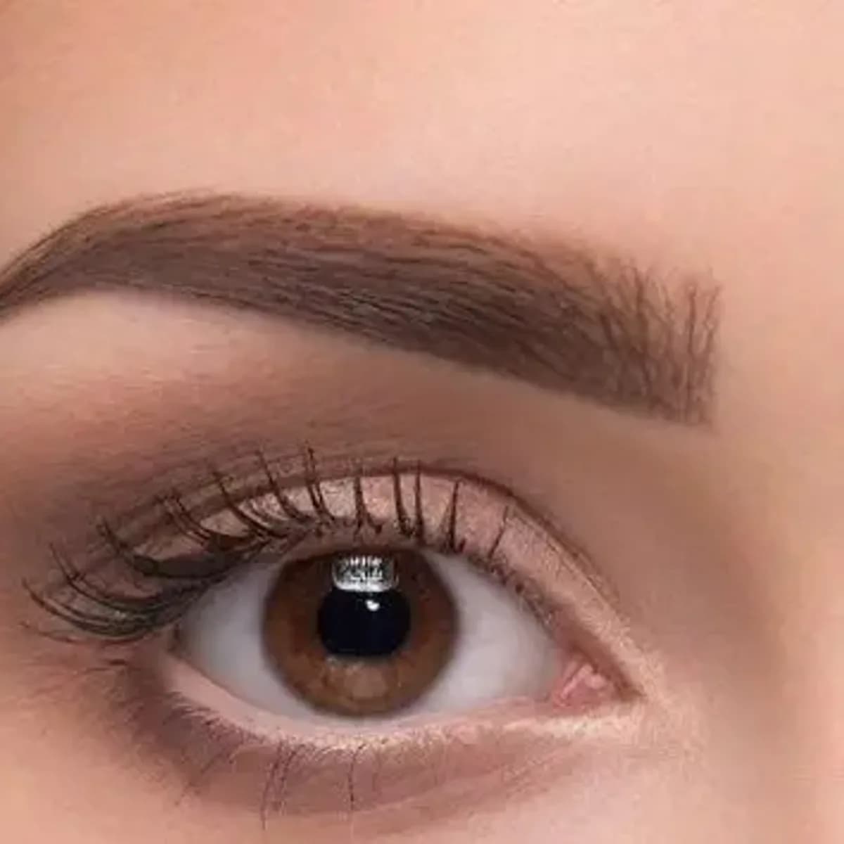 Diseño de Cejas + Henna