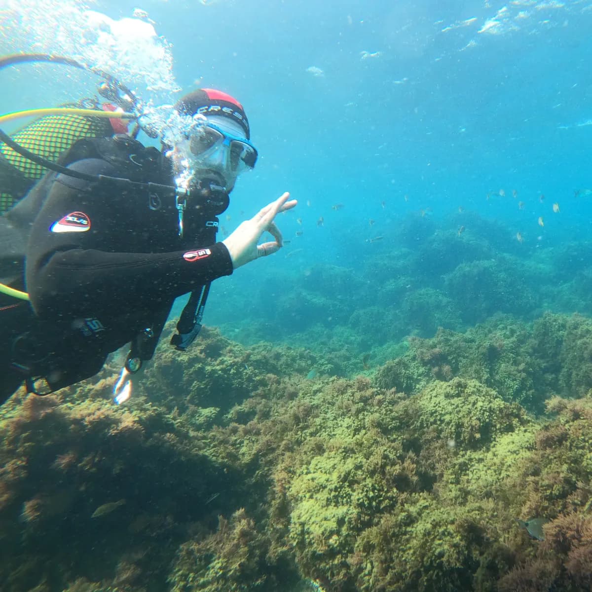 Curso de Buceo 1 Estrella – Certificación Internacional