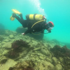 Curso de Buceo 1 Estrella – Certificación Internacional