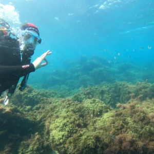 Curso de Buceo 1 Estrella – Certificación Internacional