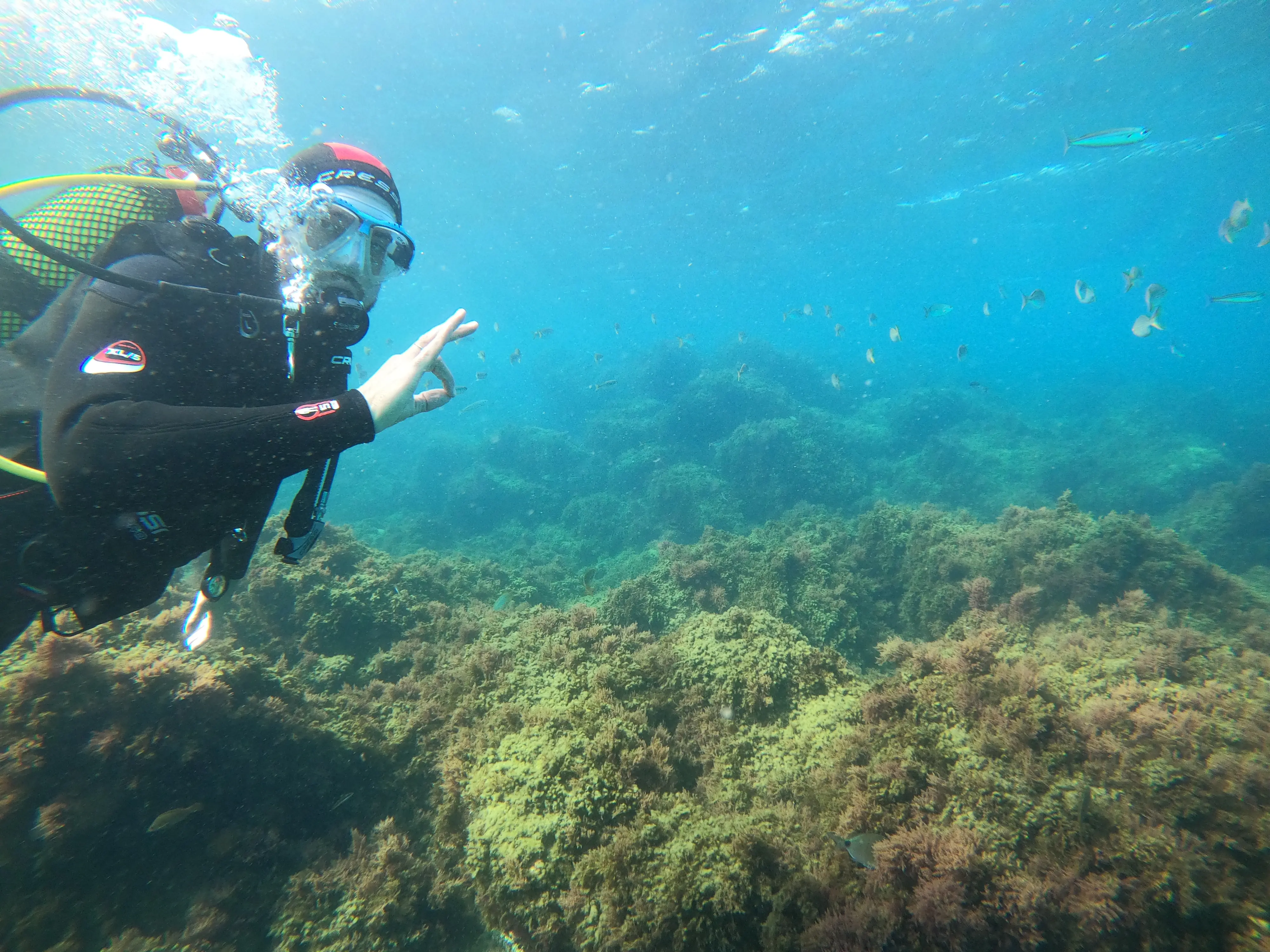 Curso de Buceo 1 Estrella – Certificación Internacional