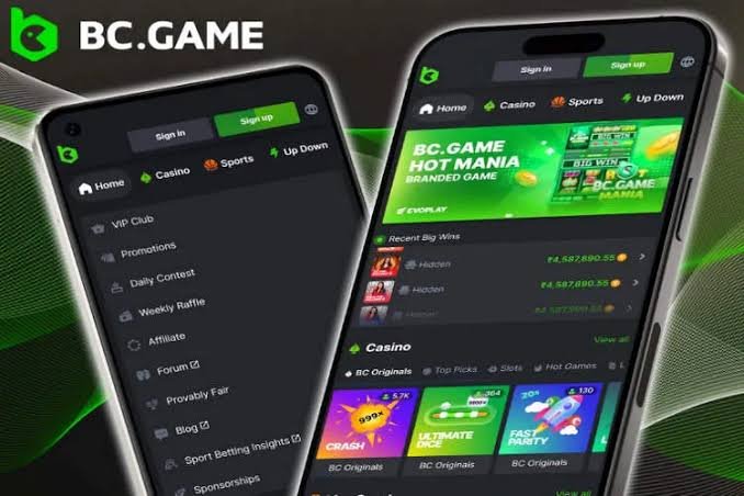 Comprehensive Guide to BC.Game Payments Options